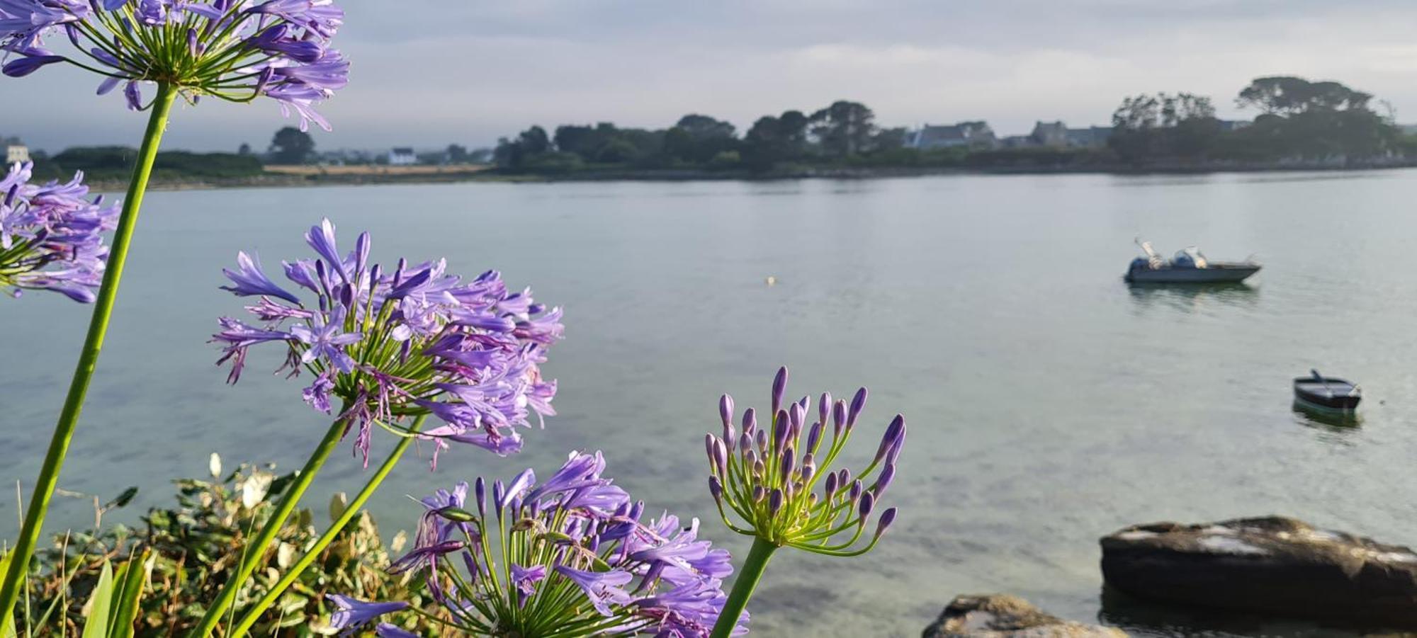 Kelerdut Plage Plouguerneau Esterno foto